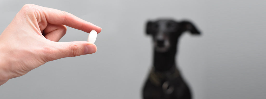 Safe Human Medications for Dogs