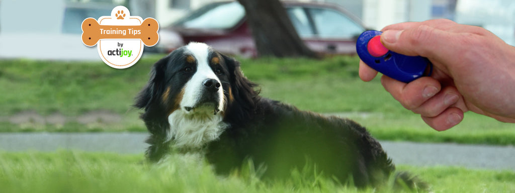 Guide to Dog Training Techniques: Clicker Training