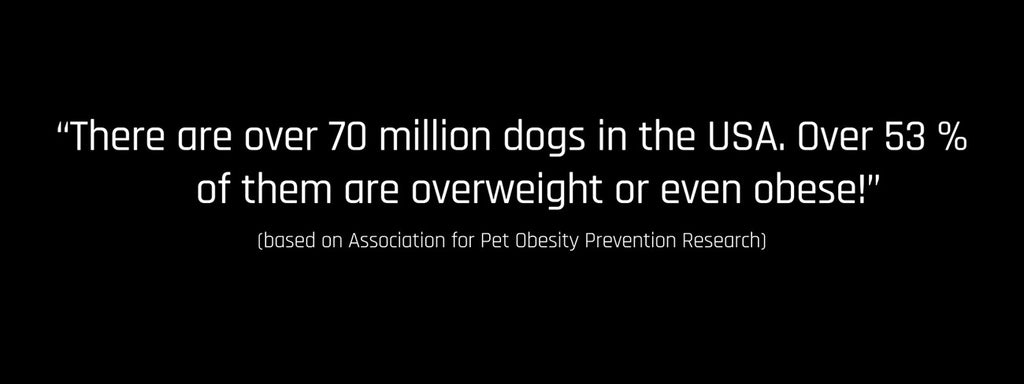 Are you sure that your four-legged buddy is not overweight?