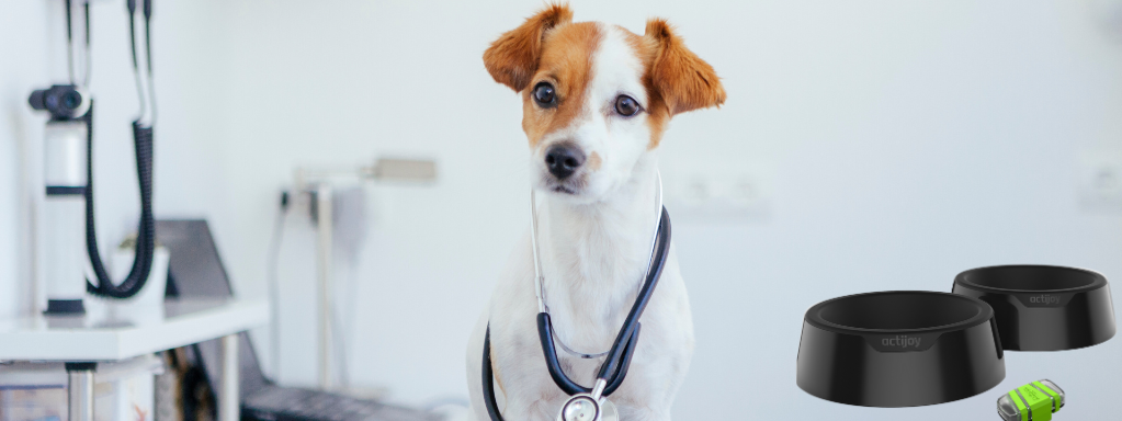Managing Veterinary Expenses with Actijoy: A Guide to Saving on Pet Care