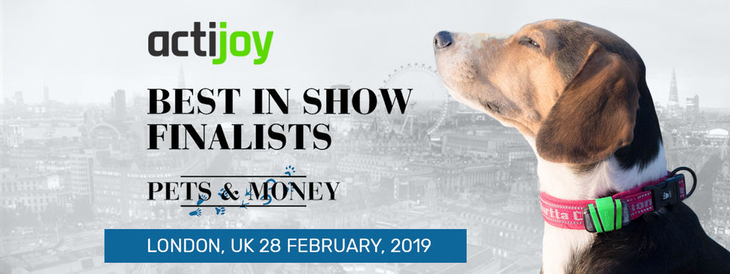 Actijoy was selected as one of the 12 Best in Show finalists at Pets & Money Summit!
