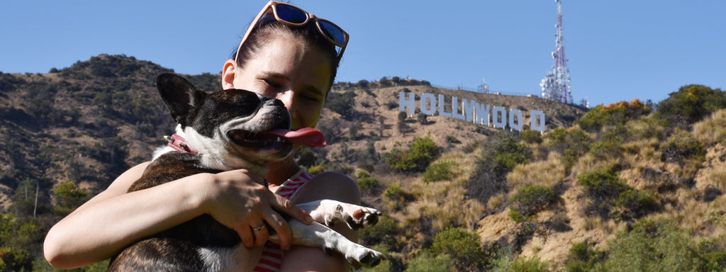 Top 3 Best Dog Parks in LA