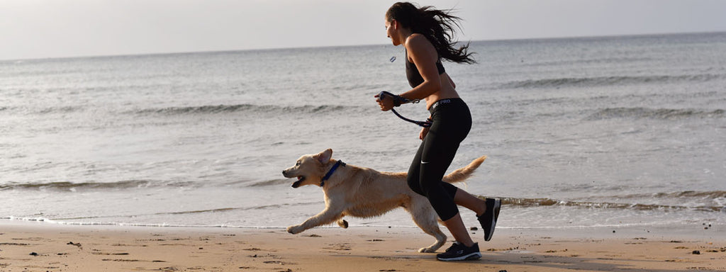 Combining Your Workout and Your Dog’s Playtime