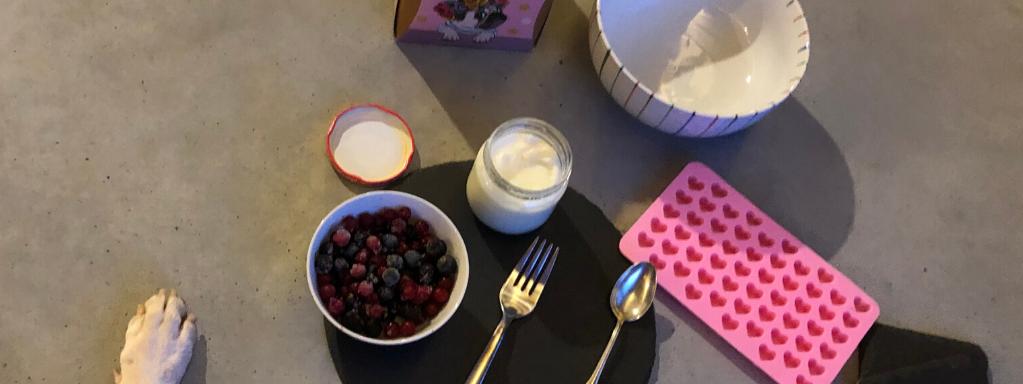 Frozen Red Berries and Yogurt Dog Treat Hearts