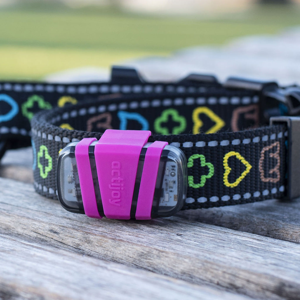 Health & Activity Tracker – Actijoy™